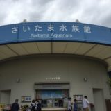 【さいたま水族館】埼玉の淡水魚専門のローカル水族館が素敵